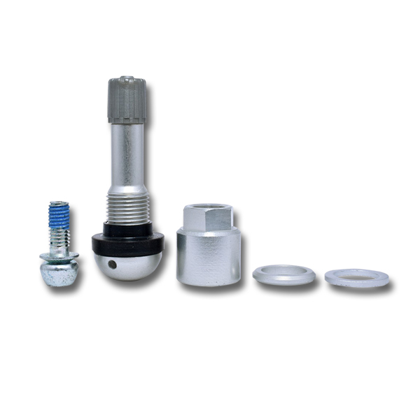 Dill Beru Replacement Valve - Storage